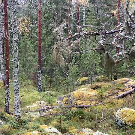 Villa Tahkon Riihiranta - 4 Bedroom By The - Tasokas Tilava Rantamoekki