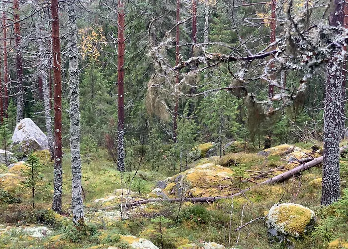 别墅 Tahkon Riihiranta - 4 Bedroom By The - Tasokas Tilava Rantamoekki