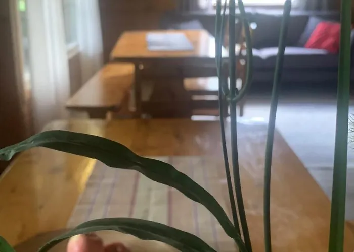 Tahkon Riihiranta - 4 Bedroom By The - Tasokas Tilava Rantamoekki 别墅 塔库沃里